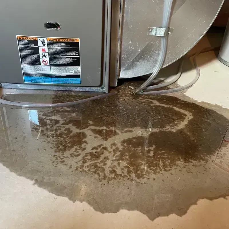 Appliance Leak Cleanup in Sedalia, MO